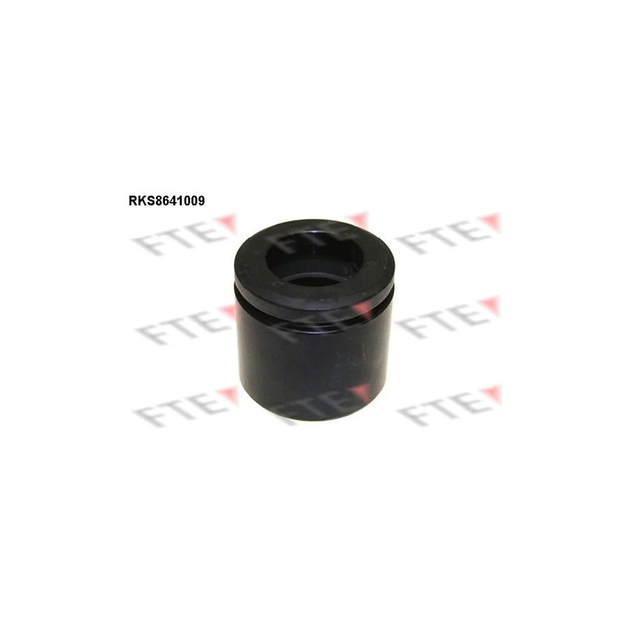 FTE 9313377 Piston, Brake Caliper