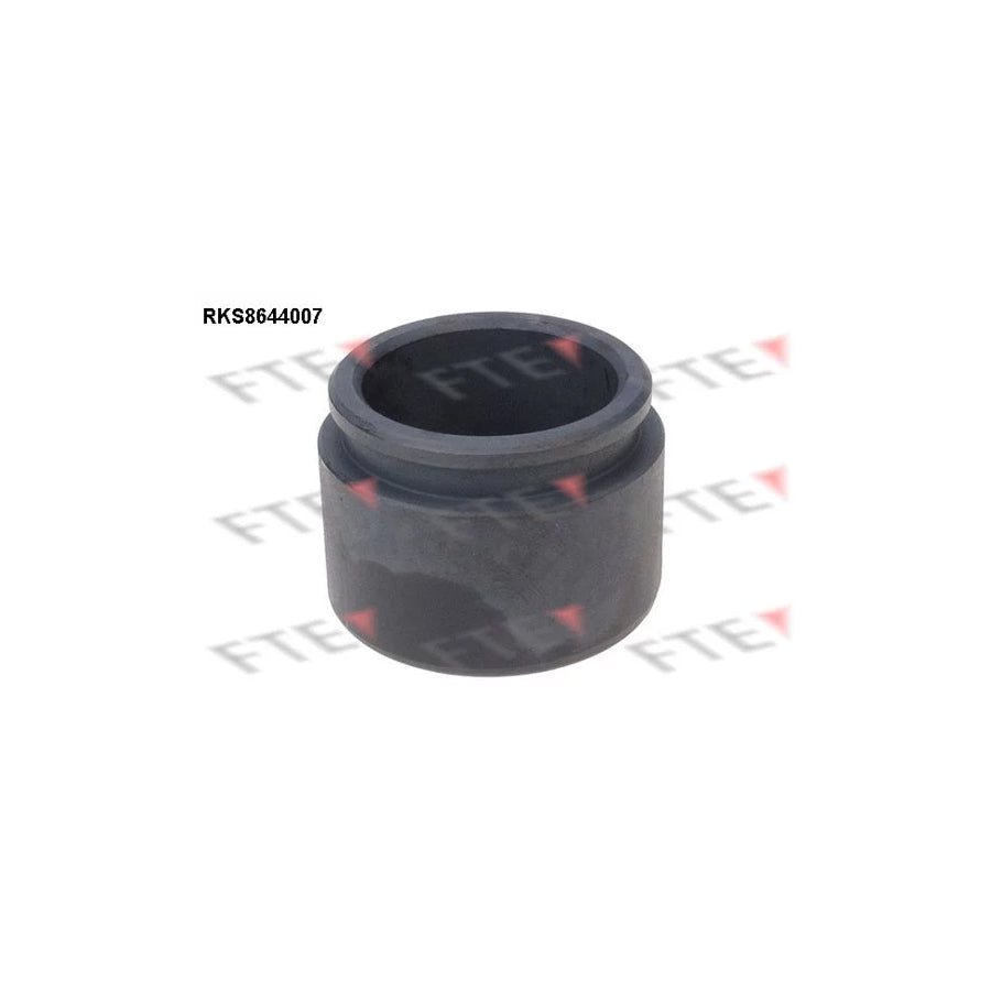 FTE 9313382 Piston, Brake Caliper