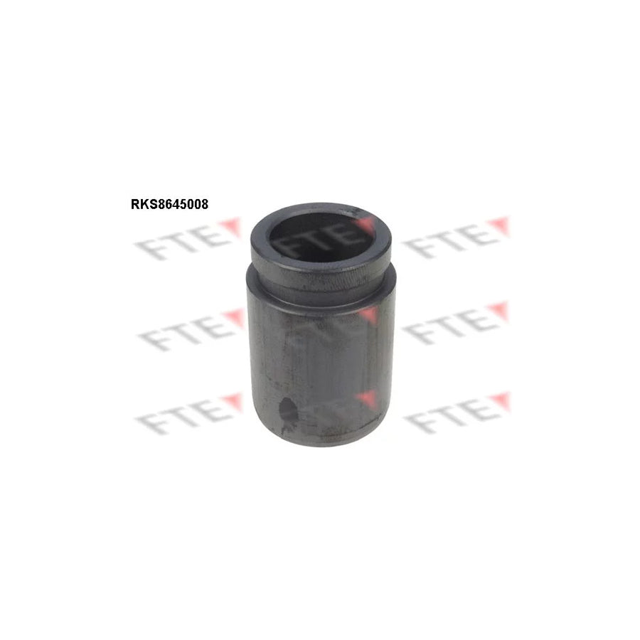 FTE 9313386 Piston, Brake Caliper
