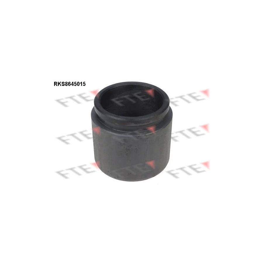 FTE 9313391 Piston, Brake Caliper