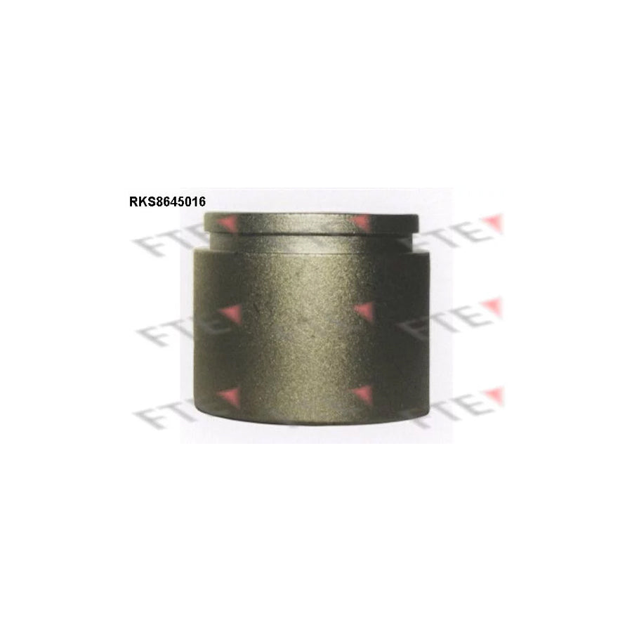 FTE 9313392 Piston, Brake Caliper