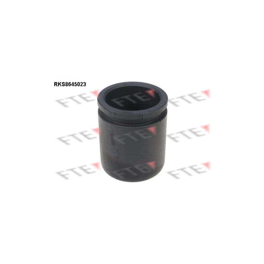 FTE 9313398 Piston, Brake Caliper