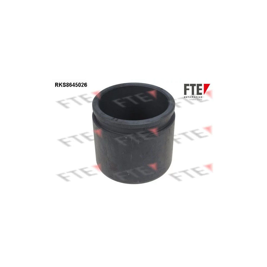 FTE 9313401 Piston, Brake Caliper for Toyota Yaris Verso (P2)