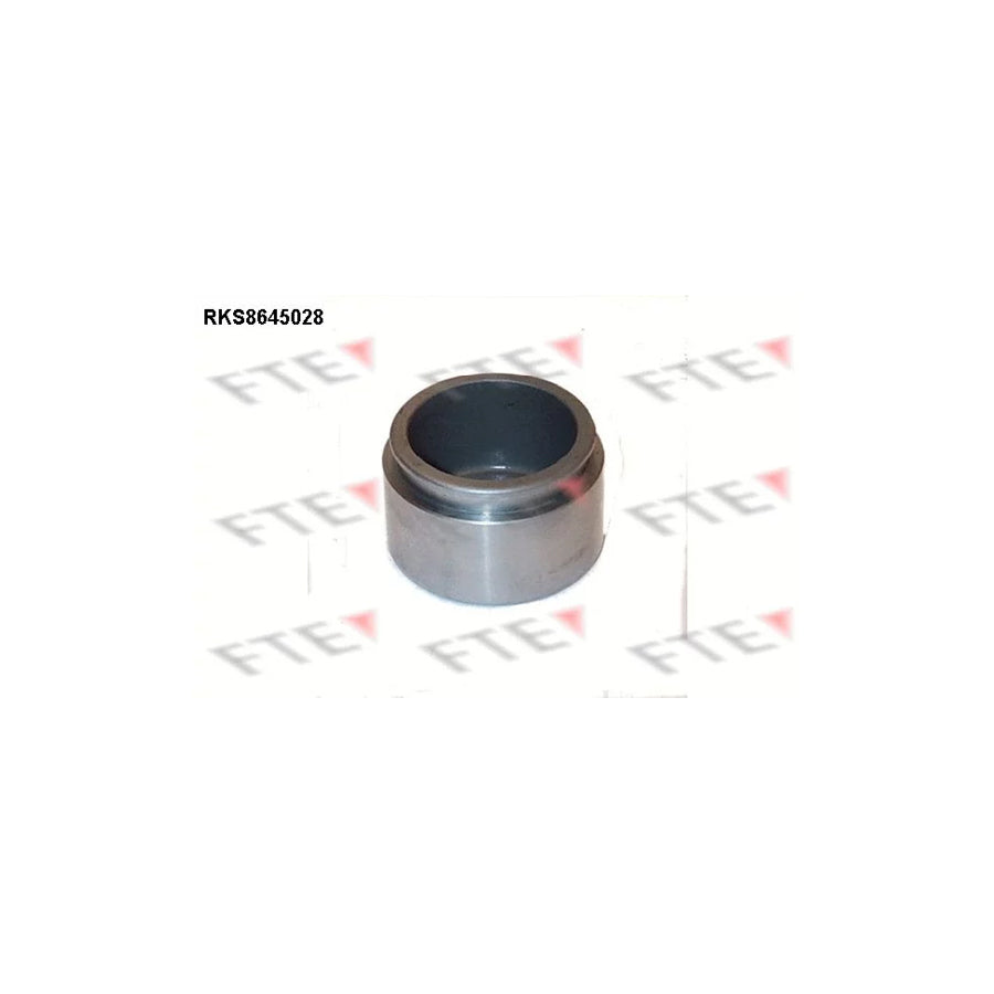 FTE 9313403 Piston, Brake Caliper