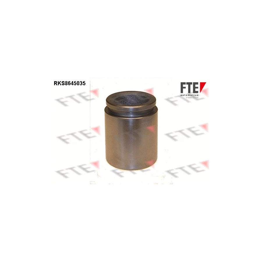 FTE 9313409 Piston, Brake Caliper for Toyota Avensis