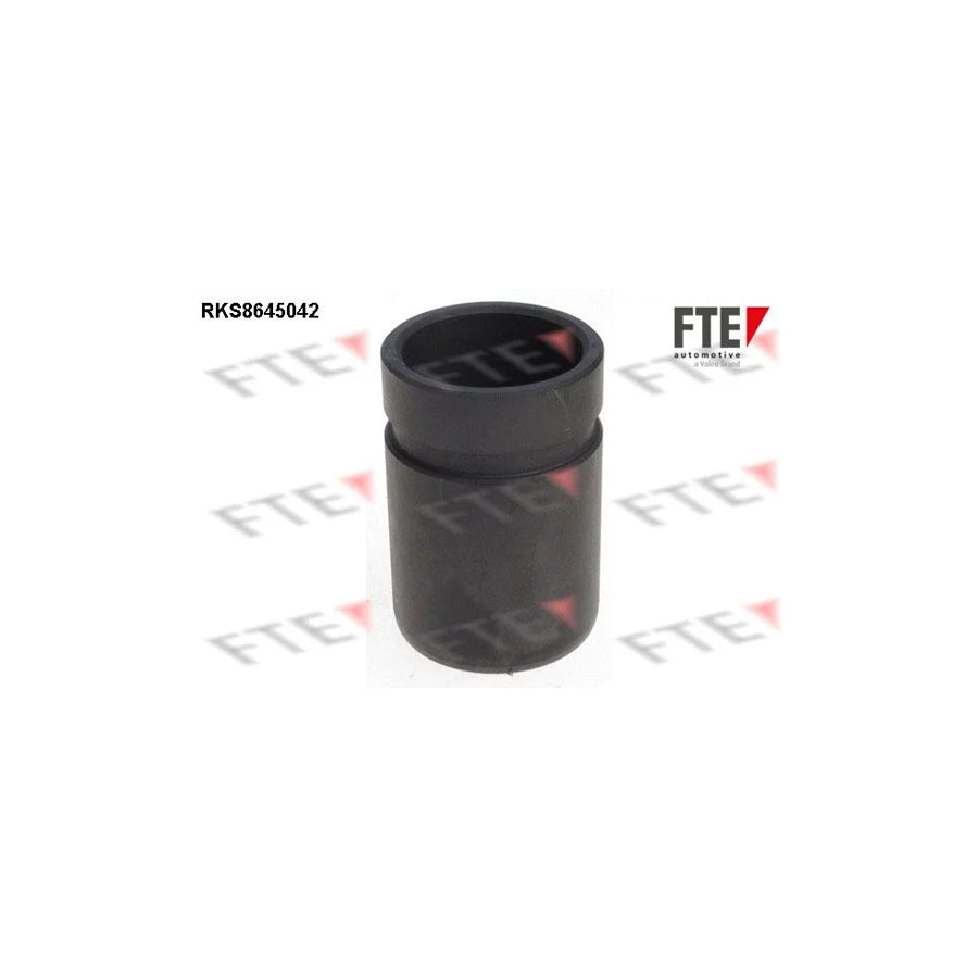 FTE 9313413 Piston, Brake Caliper for Toyota Rav4 II Off-Road (Xa20)