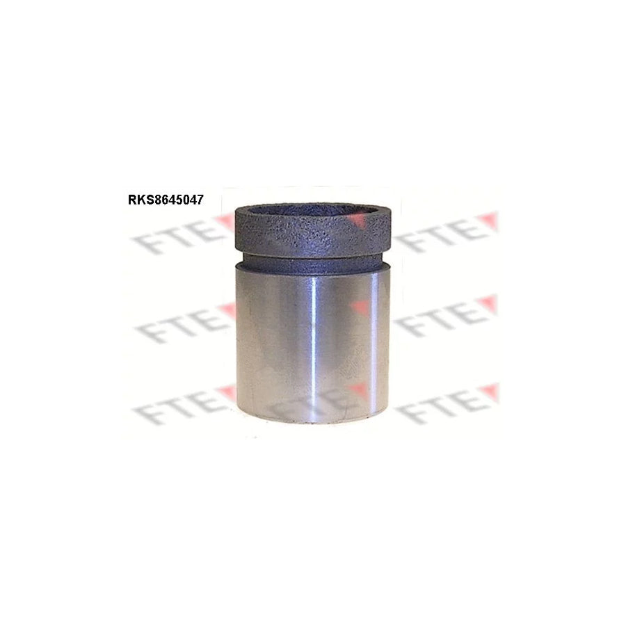 FTE 9313418 Piston, Brake Caliper