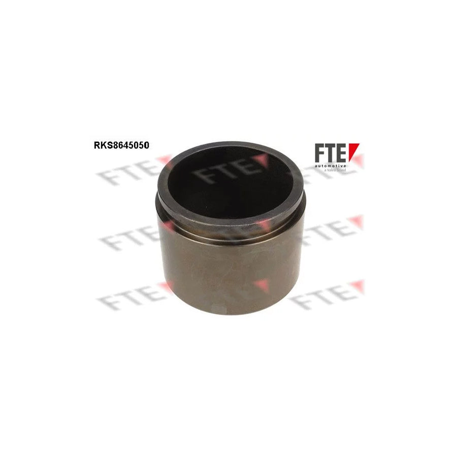 FTE 9313420 Piston, Brake Caliper