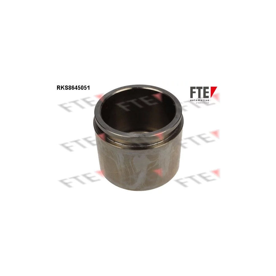 FTE 9313421 Piston, Brake Caliper