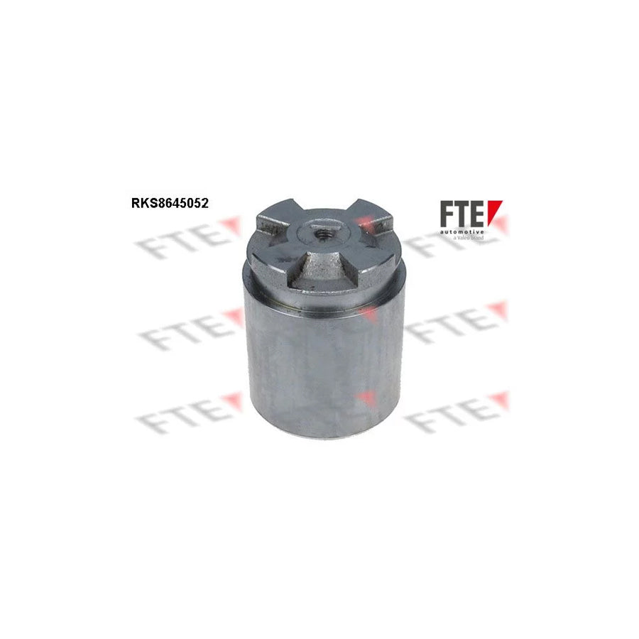 FTE 9313422 Piston, Brake Caliper