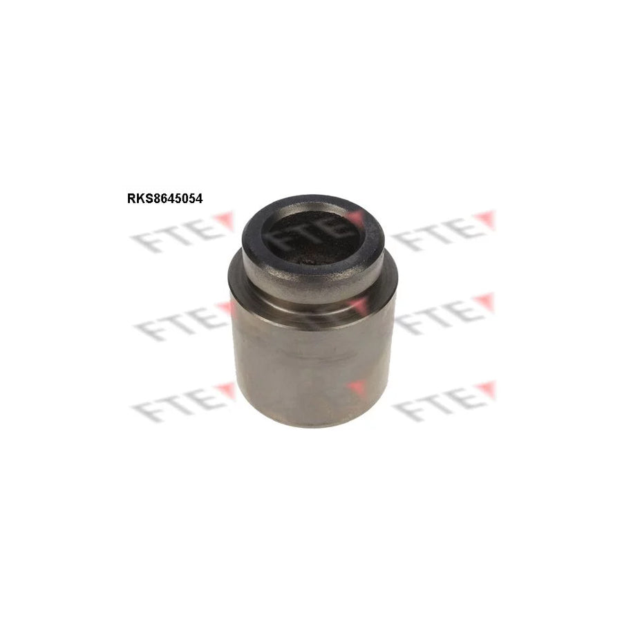 FTE 9313423 Piston, Brake Caliper