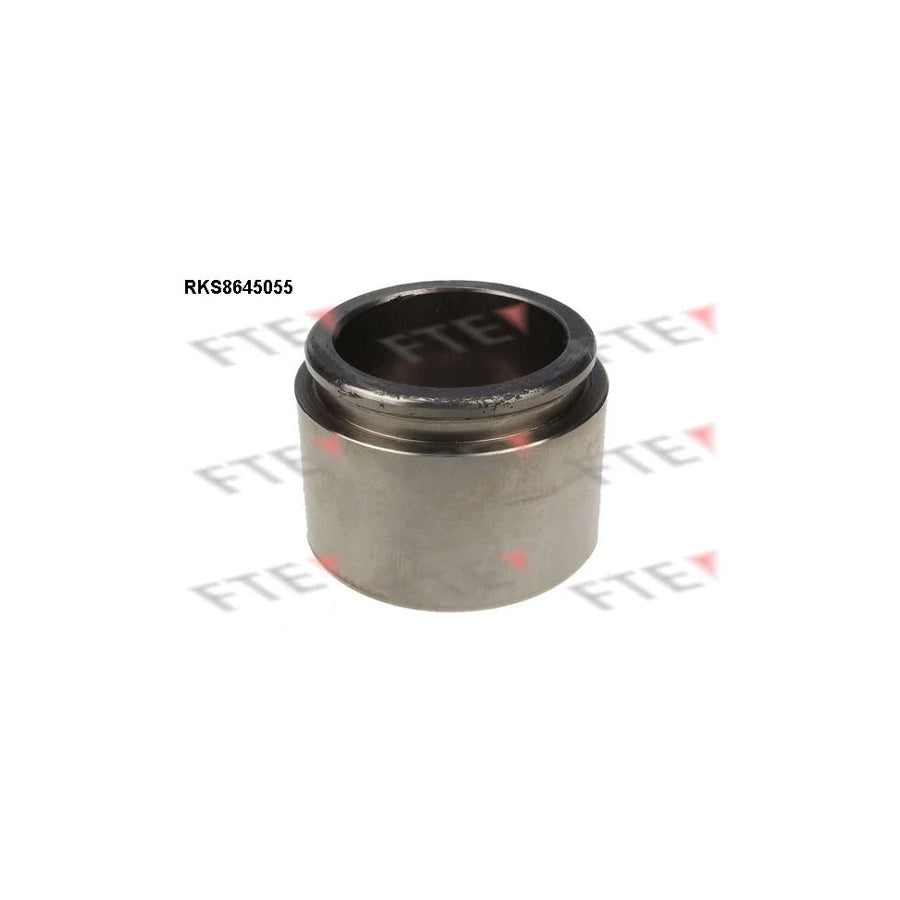 FTE 9313424 Piston, Brake Caliper