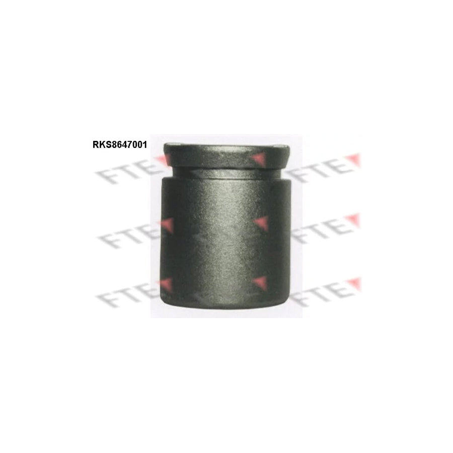 FTE 9313426 Piston, Brake Caliper