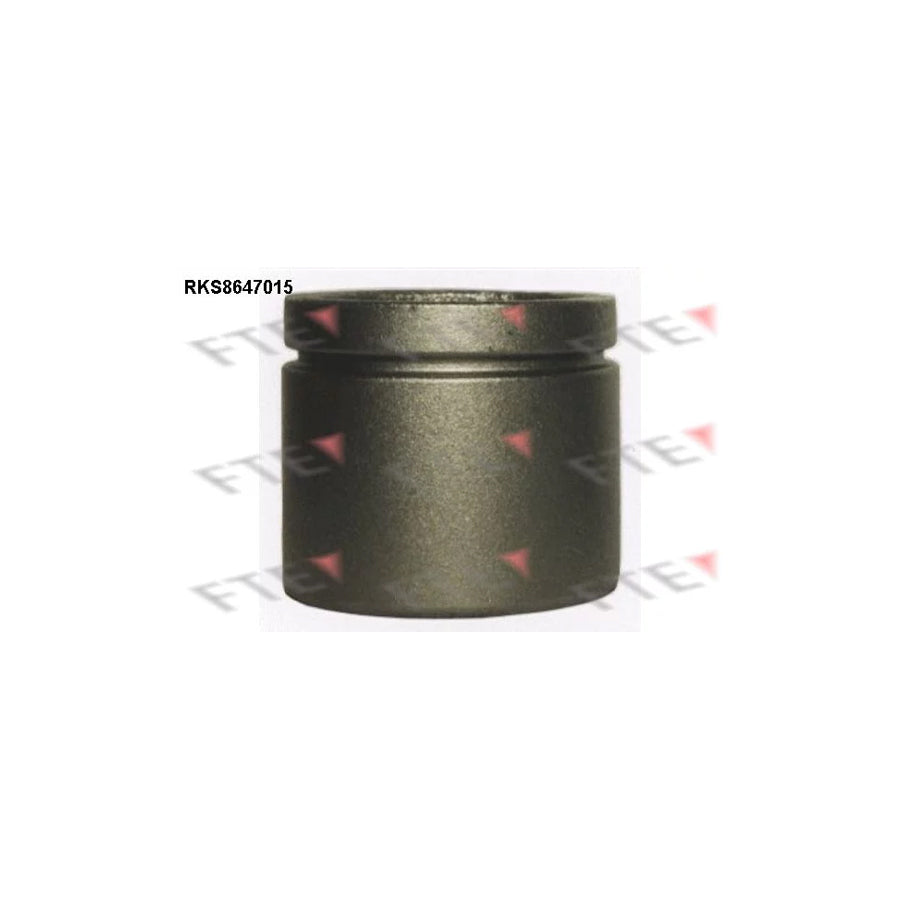 FTE 9313431 Piston, Brake Caliper for VW Transporter