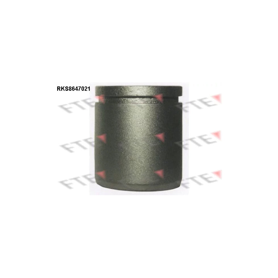 FTE 9313433 Piston, Brake Caliper