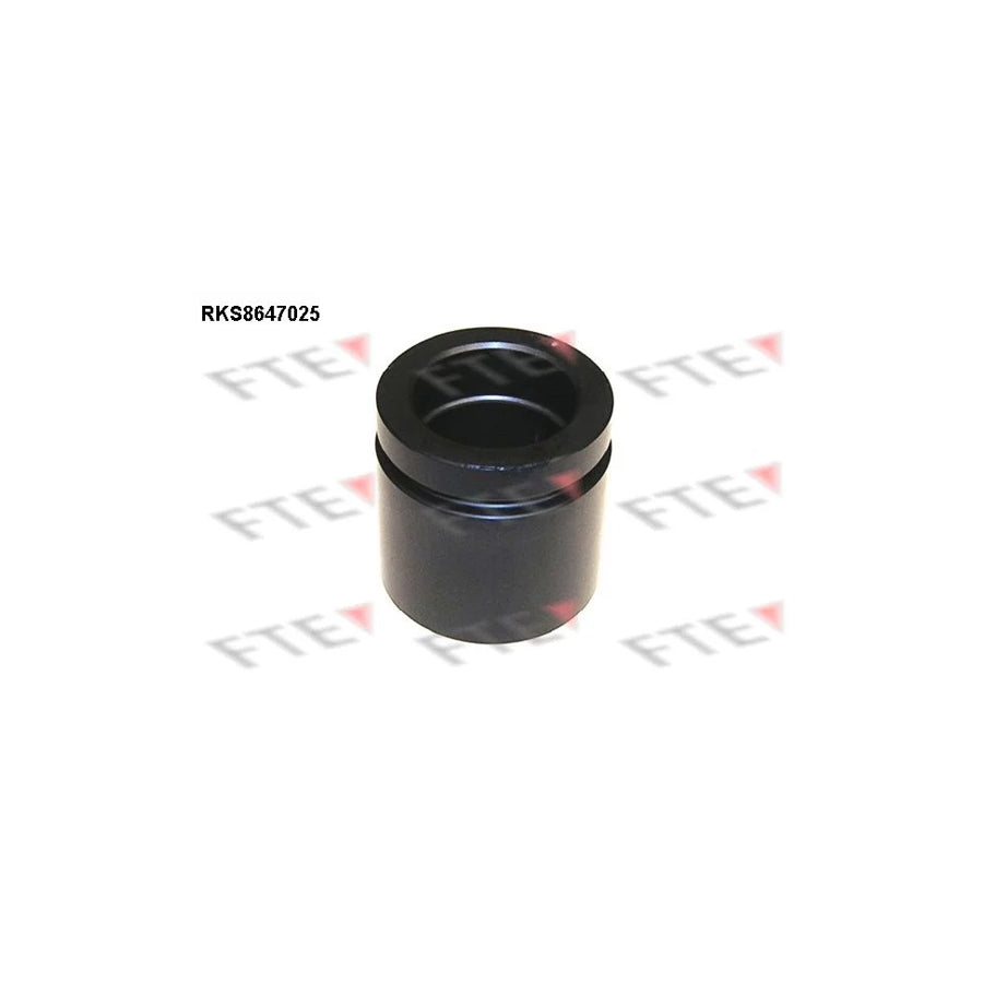 FTE 9313436 Piston, Brake Caliper