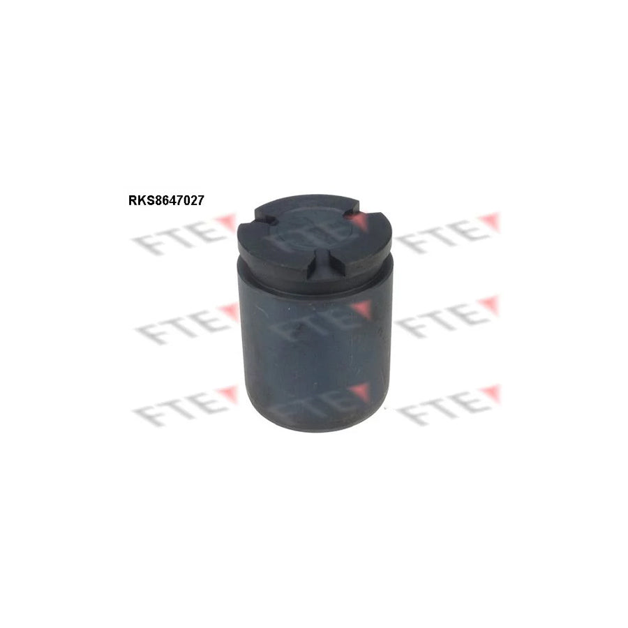 FTE 9313437 Piston, Brake Caliper