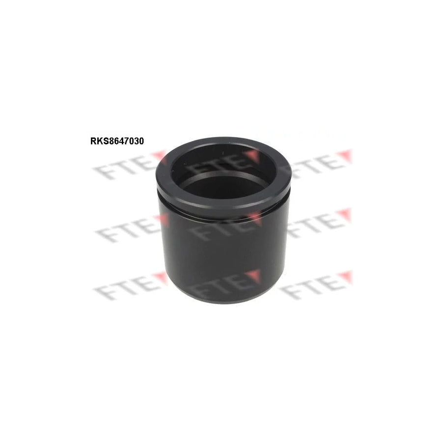 FTE 9313438 Piston, Brake Caliper