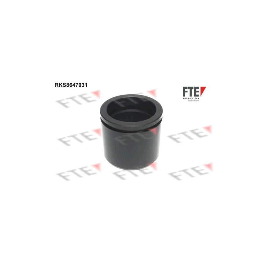 FTE 9313439 Piston, Brake Caliper