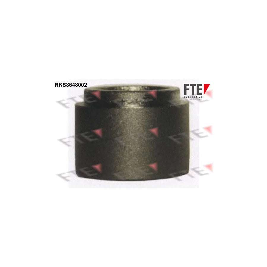 FTE 9313440 Piston, Brake Caliper
