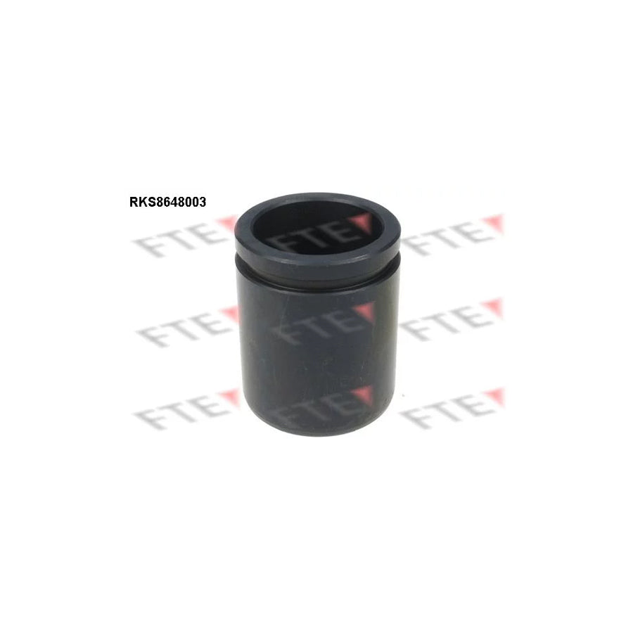 FTE 9313441 Piston, Brake Caliper