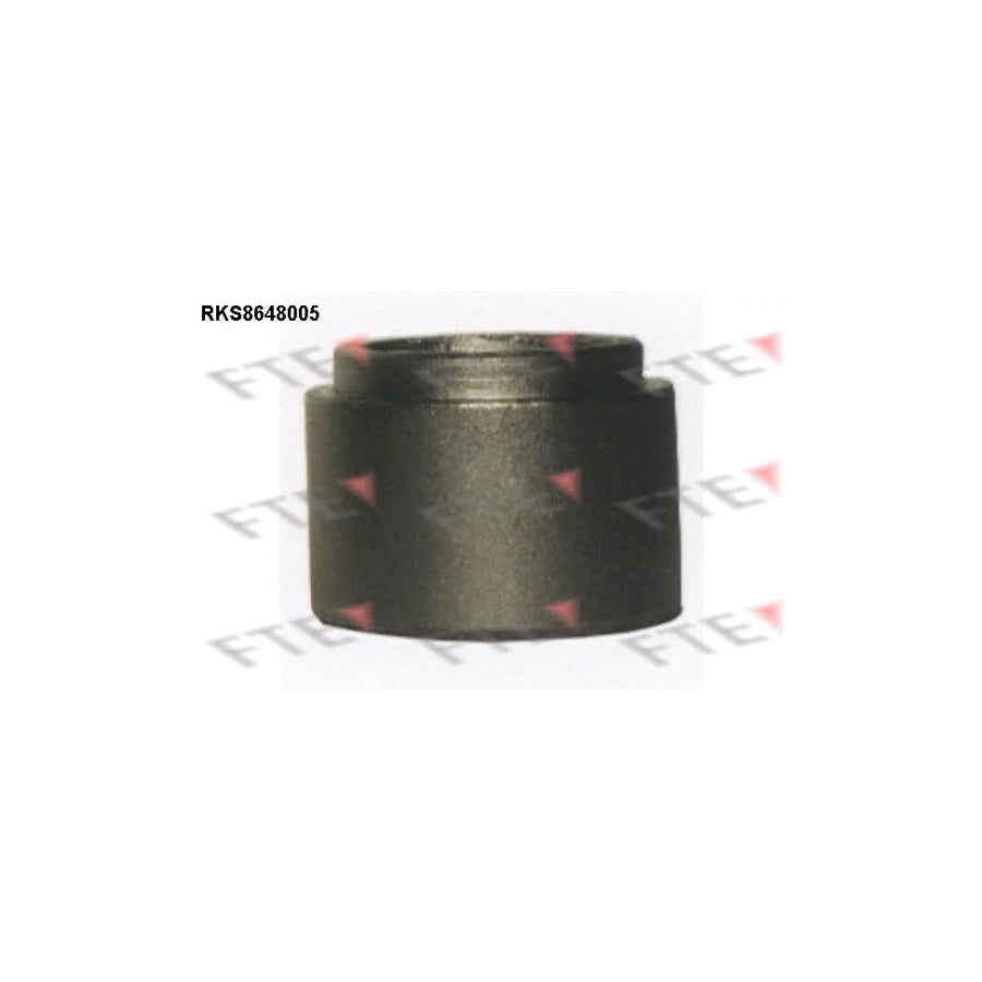 FTE 9313442 Piston, Brake Caliper