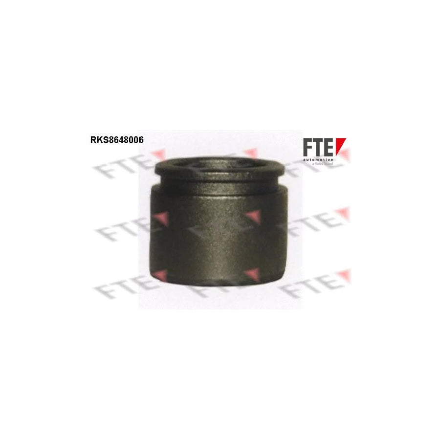FTE 9313443 Piston, Brake Caliper