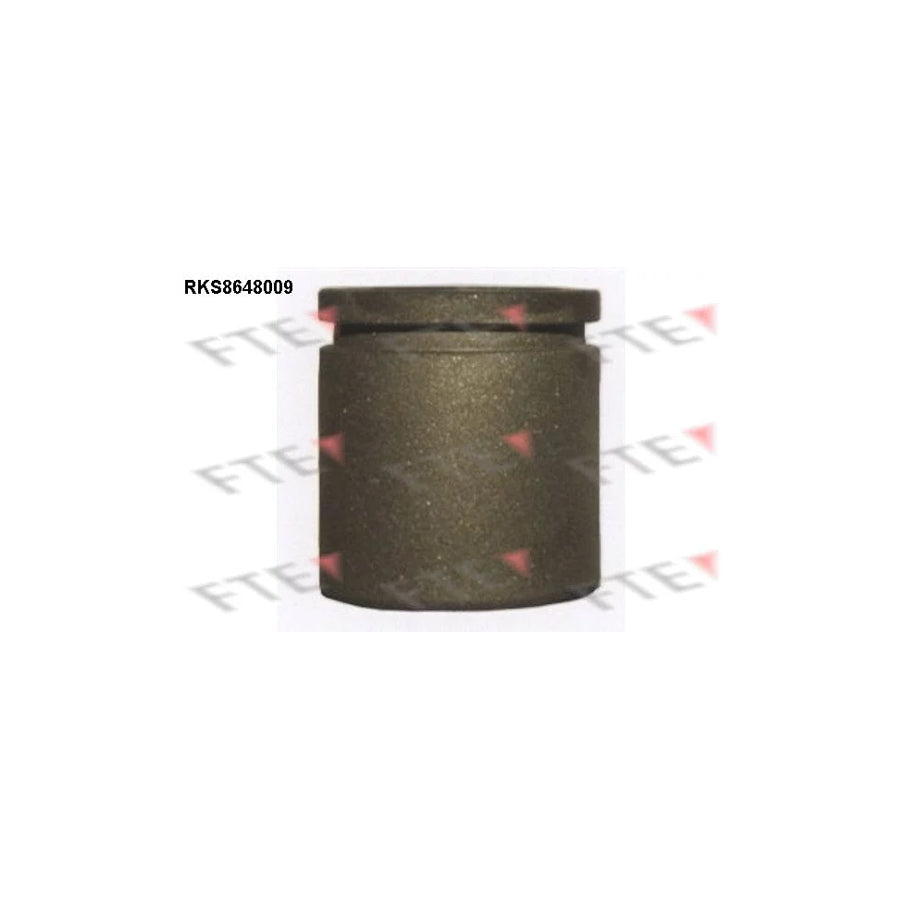 FTE 9313445 Piston, Brake Caliper