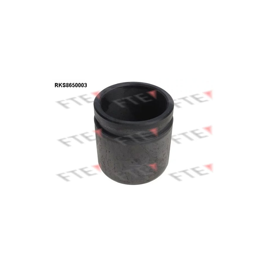 FTE 9313452 Piston, Brake Caliper