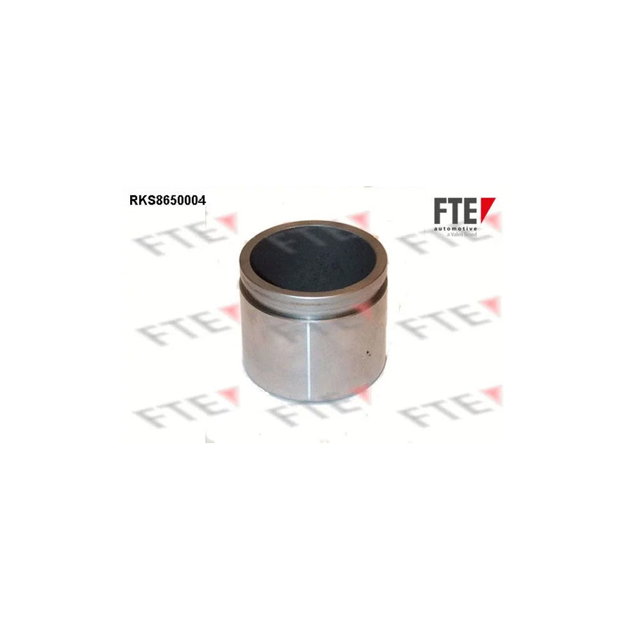 FTE 9313453 Piston, Brake Caliper