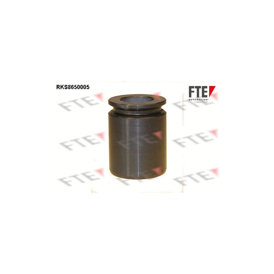 FTE 9313454 Piston, Brake Caliper for Daewoo Leganza