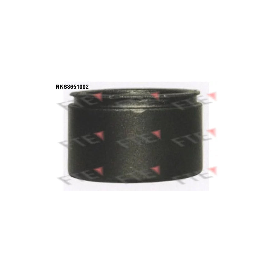 FTE 9313456 Piston, Brake Caliper