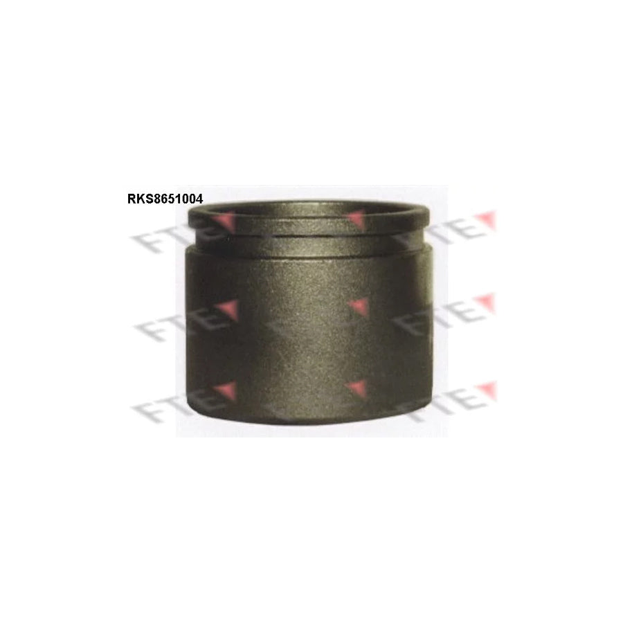 FTE 9313458 Piston, Brake Caliper