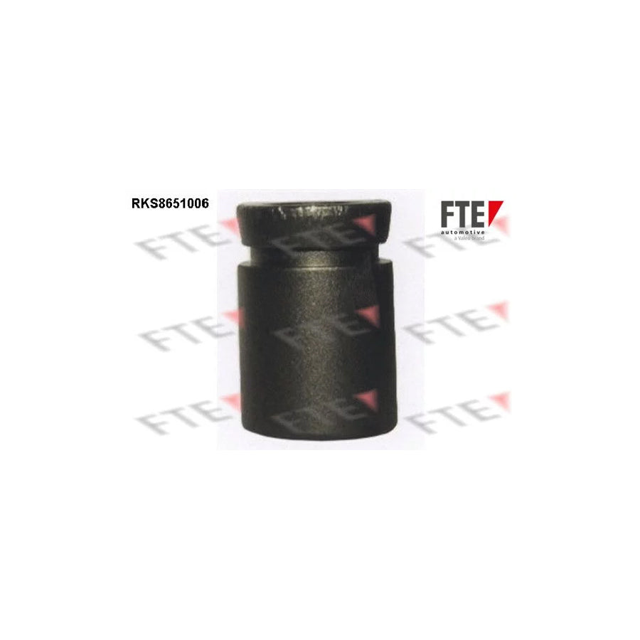 FTE 9313460 Piston, Brake Caliper