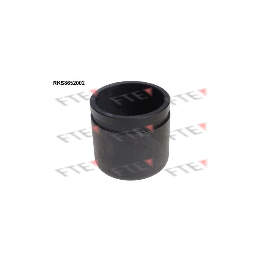 FTE 9313462 Piston, Brake Caliper
