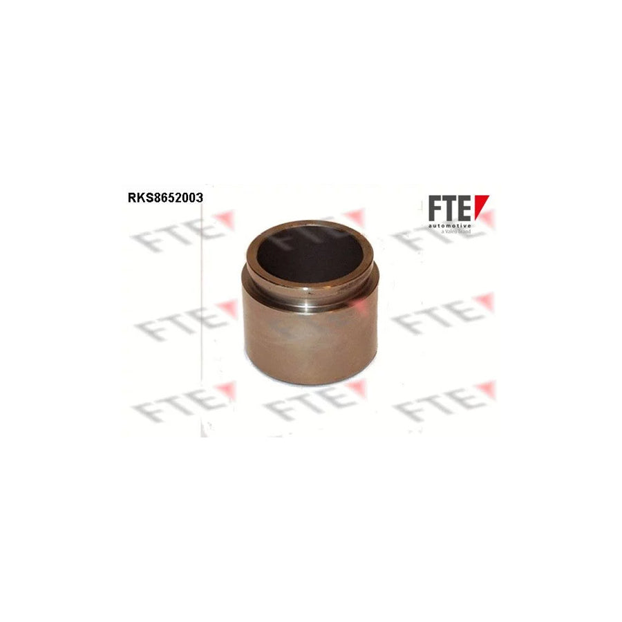 FTE 9313463 Piston, Brake Caliper