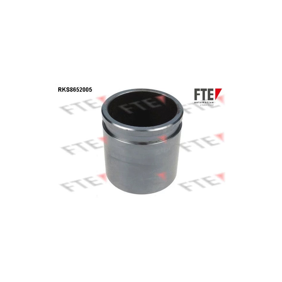 FTE 9313465 Piston, Brake Caliper