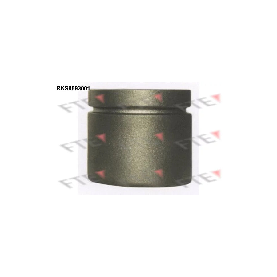 FTE 9313468 Piston, Brake Caliper