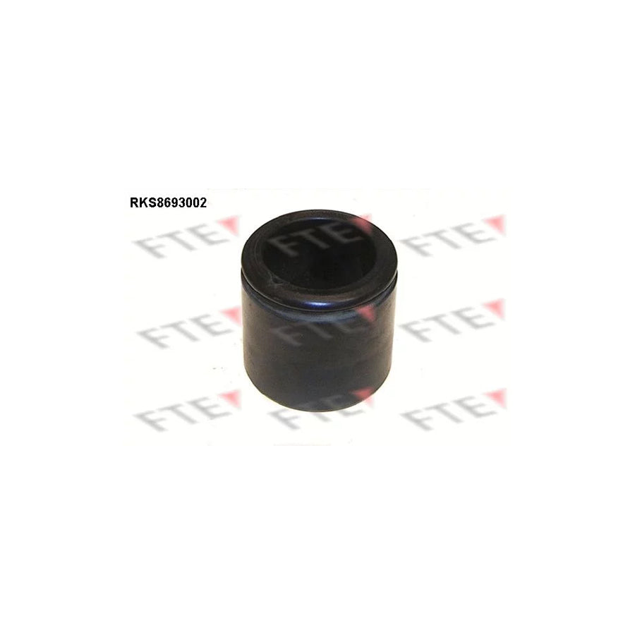 FTE 9313469 Piston, Brake Caliper for Chrysler Pt Cruiser