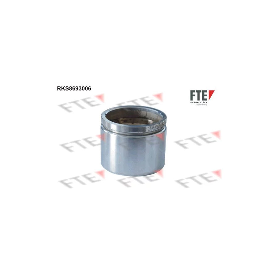 FTE 9313473 Piston, Brake Caliper