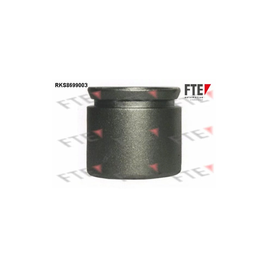 FTE 9313476 Piston, Brake Caliper