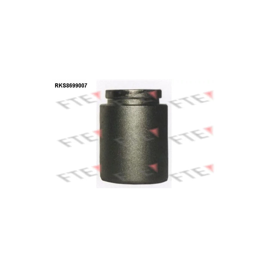 FTE 9313477 Piston, Brake Caliper