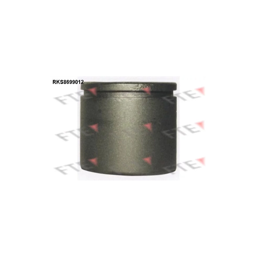 FTE 9313481 Piston, Brake Caliper