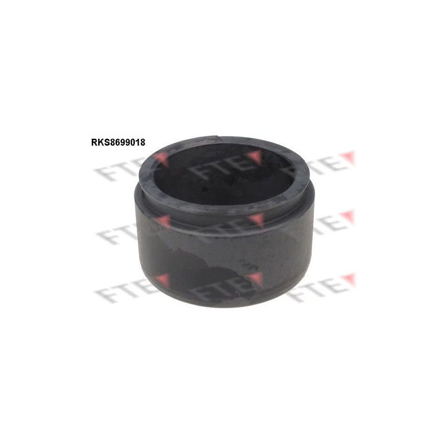 FTE 9313484 Piston, Brake Caliper
