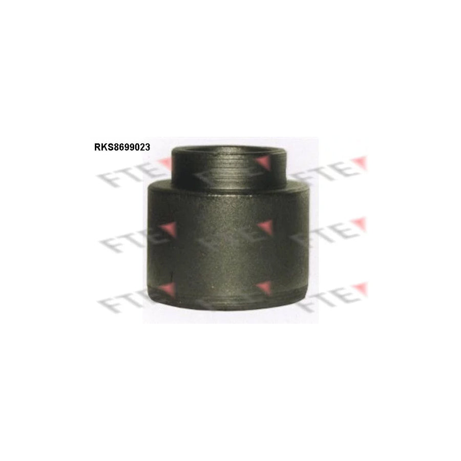 FTE 9313487 Piston, Brake Caliper