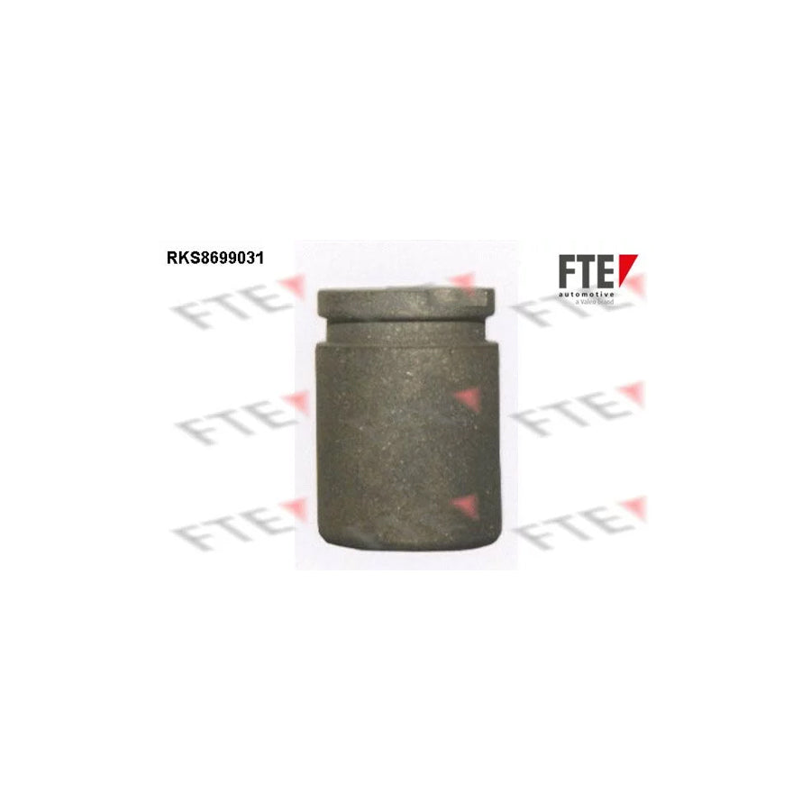 FTE 9313493 Piston, Brake Caliper for Fiat Uno Hatchback (146)