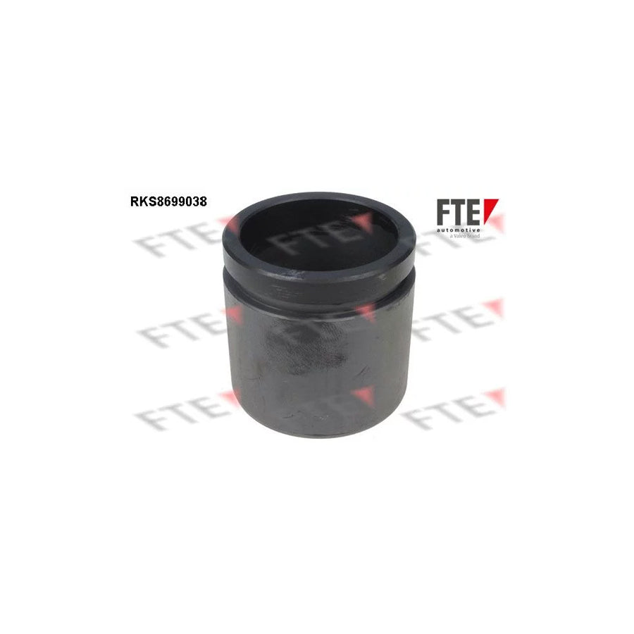FTE 9313497 Piston, Brake Caliper