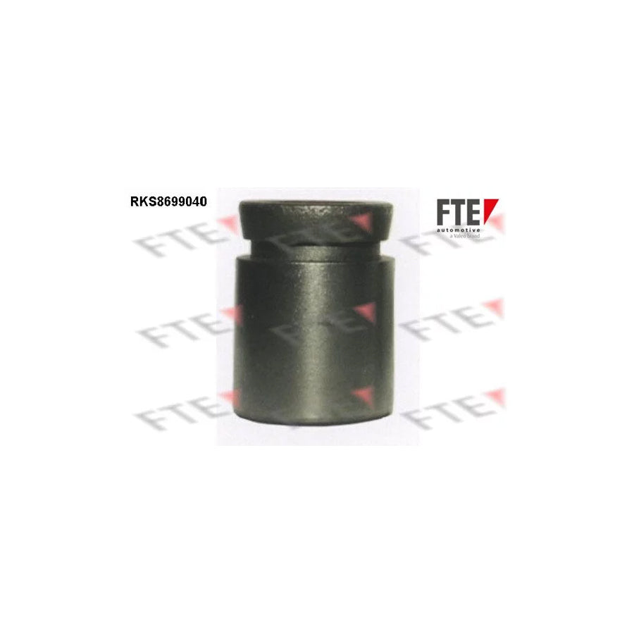 FTE 9313498 Piston, Brake Caliper
