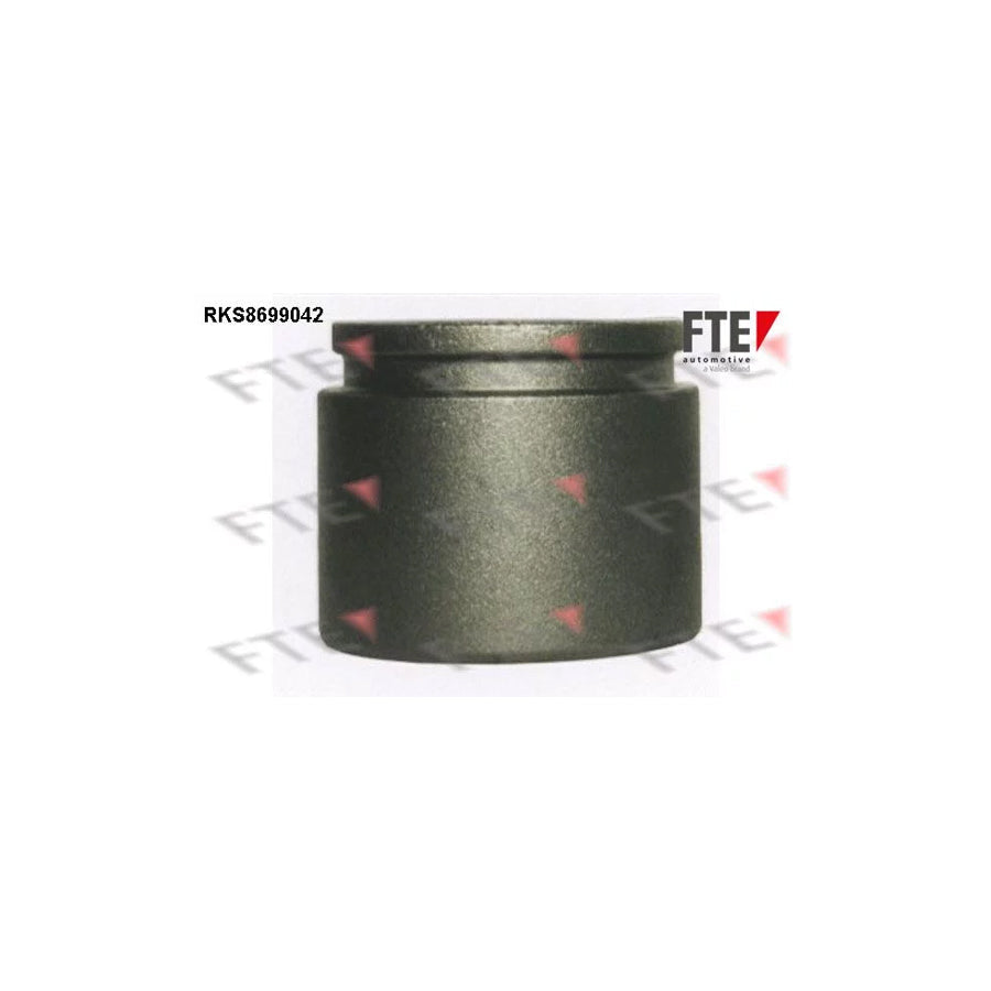 FTE 9313500 Piston, Brake Caliper