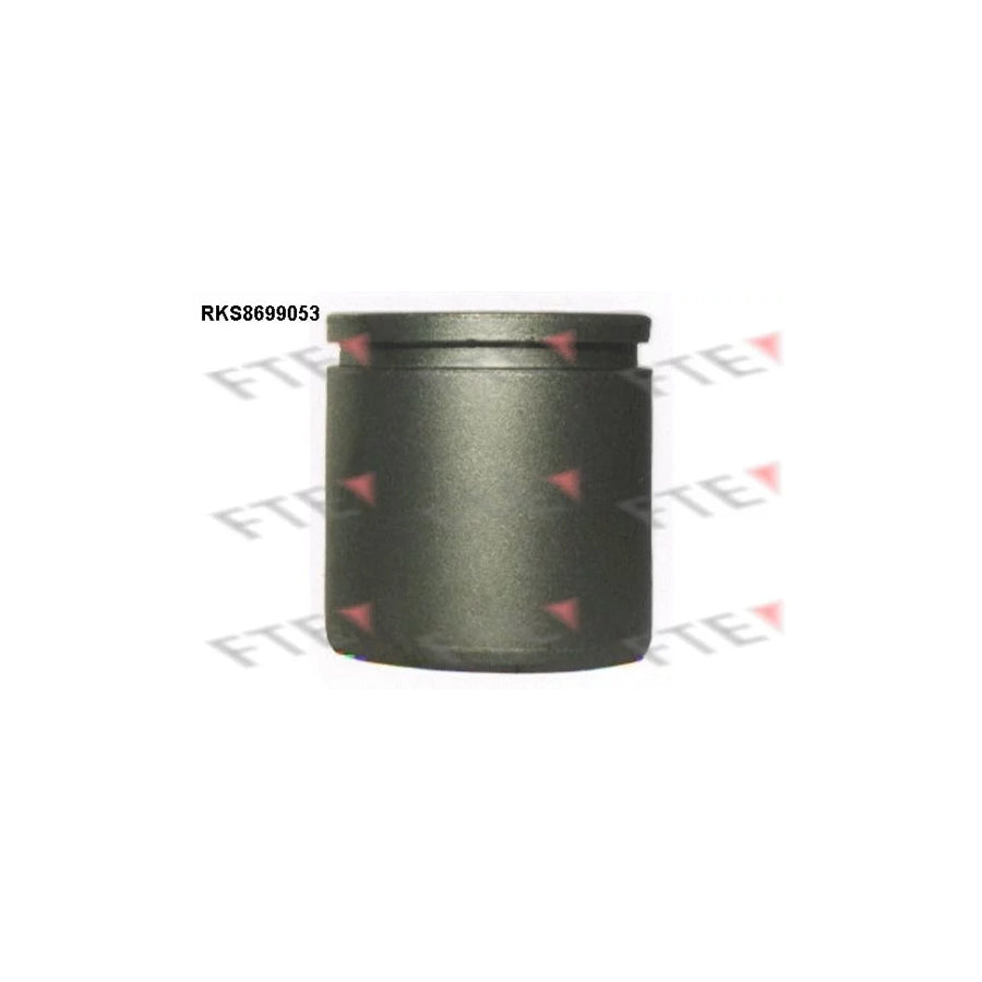 FTE 9313507 Piston, Brake Caliper